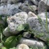 Галька Афон валун 80-150мм 14626
