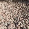 Галька Коралловая 15-25 мм 14838