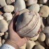 Галька Радужный камень 60-100 мм 14681