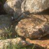 Валун Закарпатский Different 60-200мм 15082