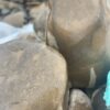 Валун Карпатский речной серый 150-400мм 14566