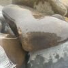 Валун Карпатский речной серый 150-400мм 14567