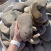 Галька Плоская Закарпатская 80-120 мм 14729