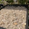 Кварцитная крошка серая Измир 3-5мм 15101