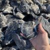 Крошка Кислотный Черный Принц 50-100мм