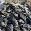 Крошка Кислотный Черный Принц 50-100мм 16497