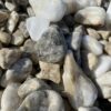 Галька Гризли 20-40мм